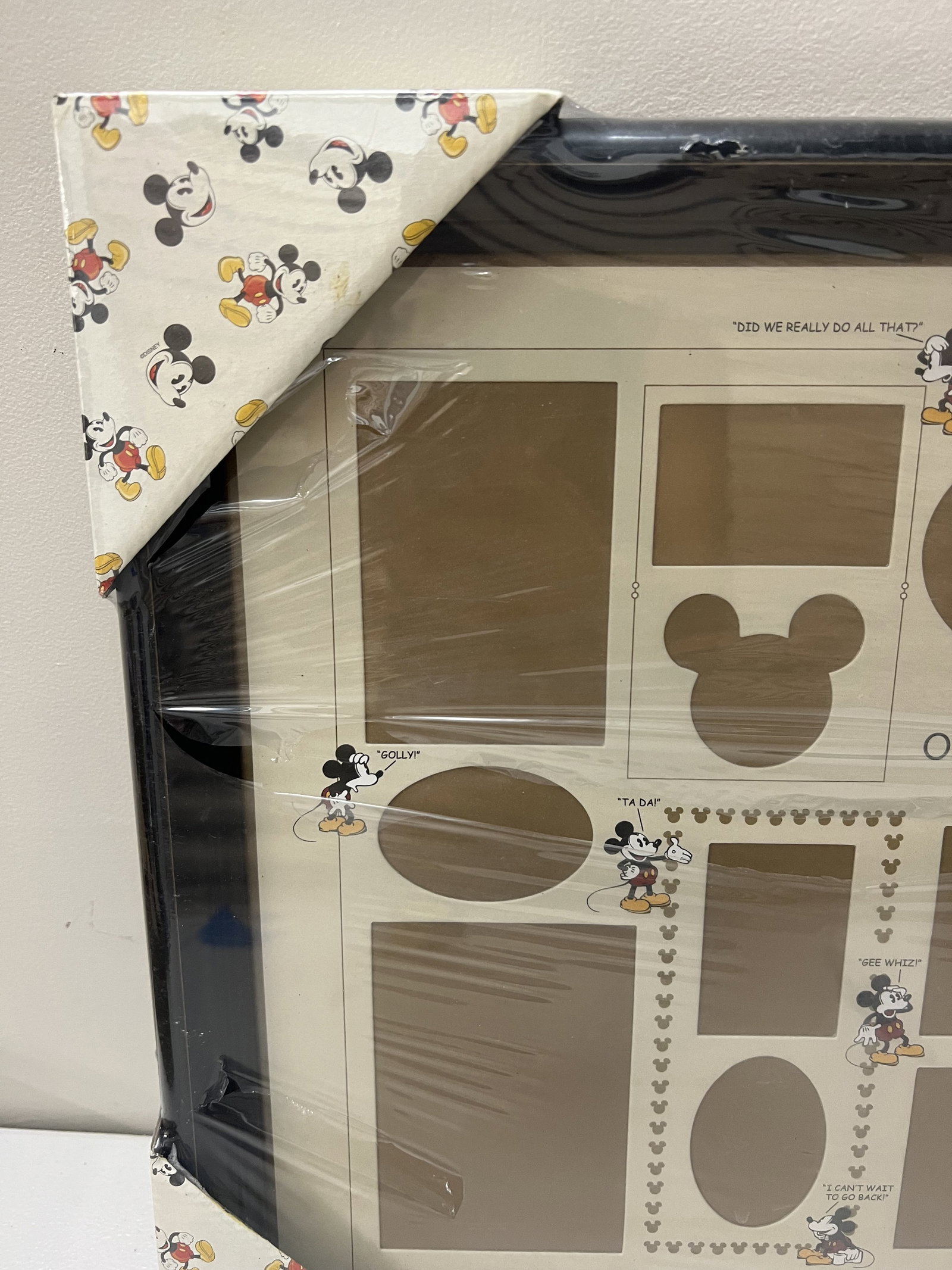 Disney Collector Vacation Frame - 5