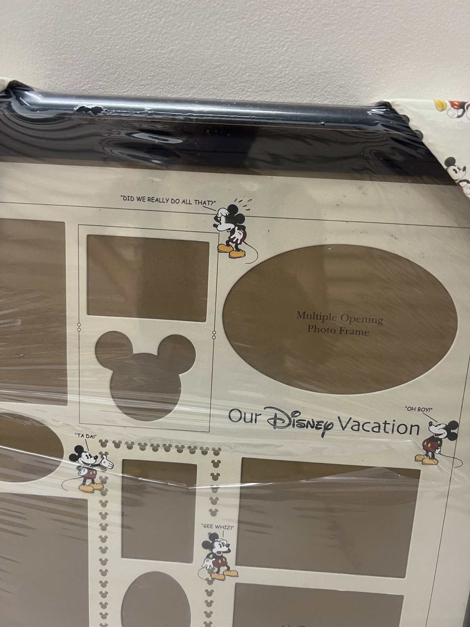 Disney Collector Vacation Frame - 6