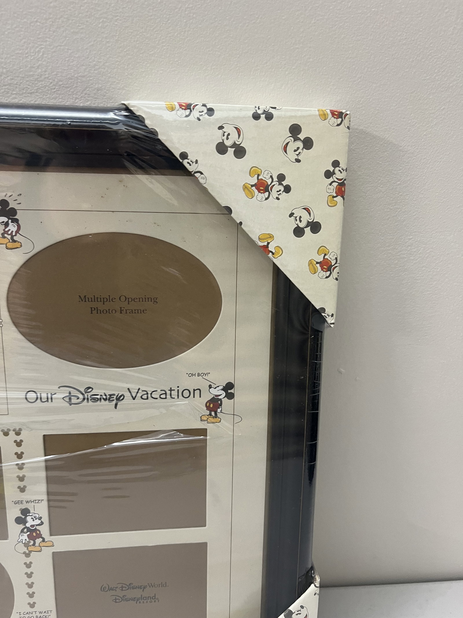 Disney Collector Vacation Frame - 7