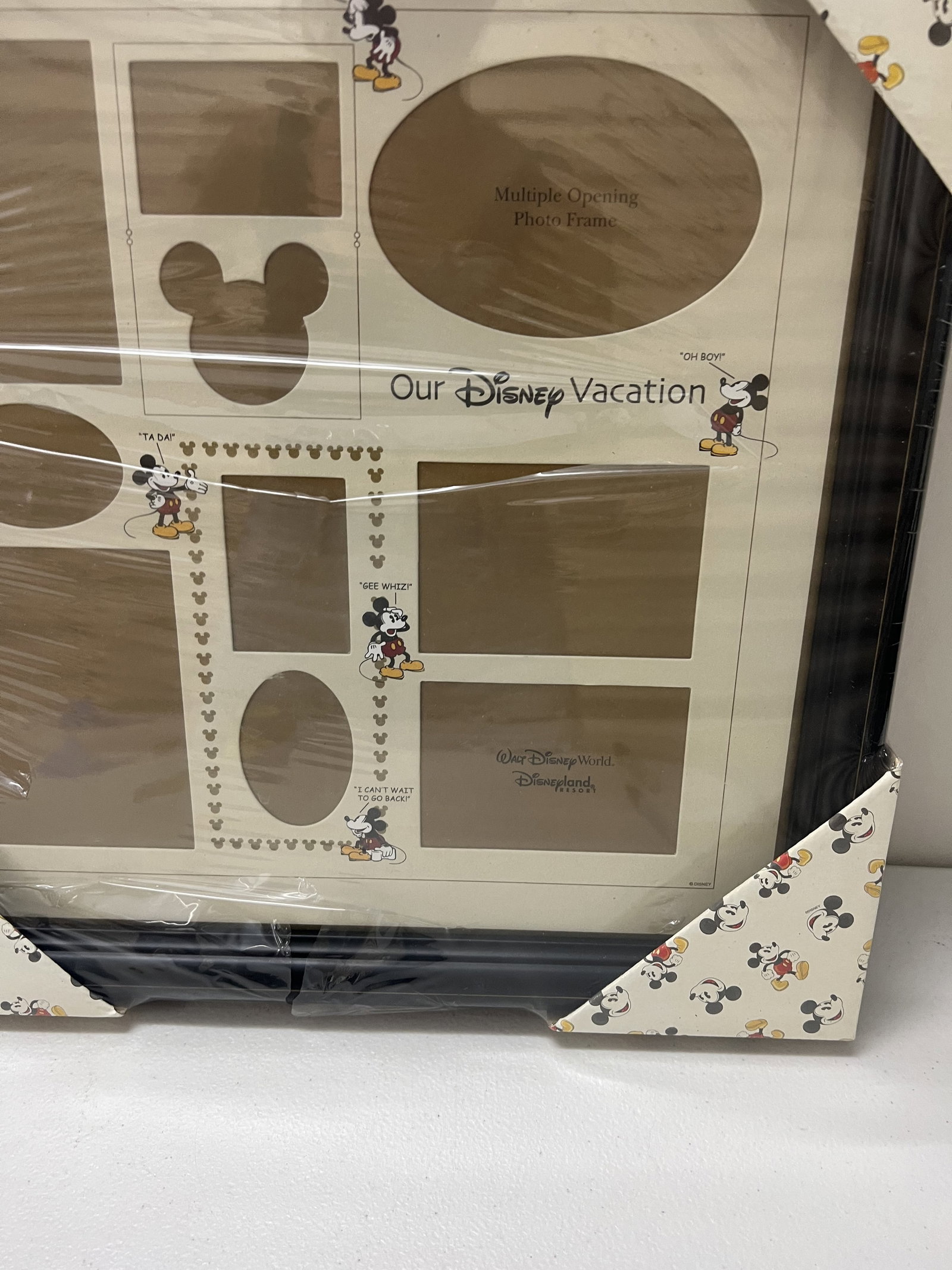 Disney Collector Vacation Frame - 9