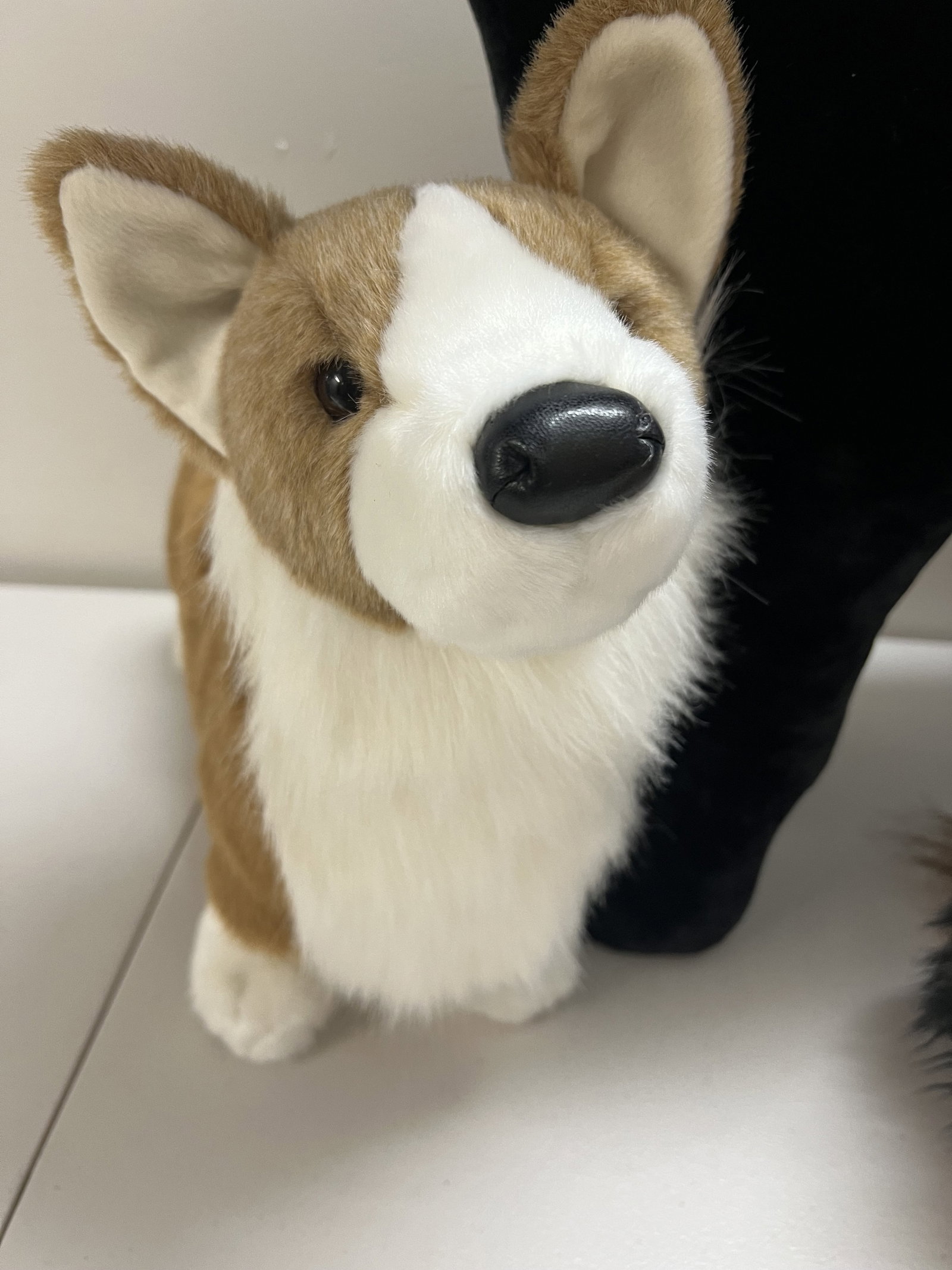 Dog Steppy Bed - 6