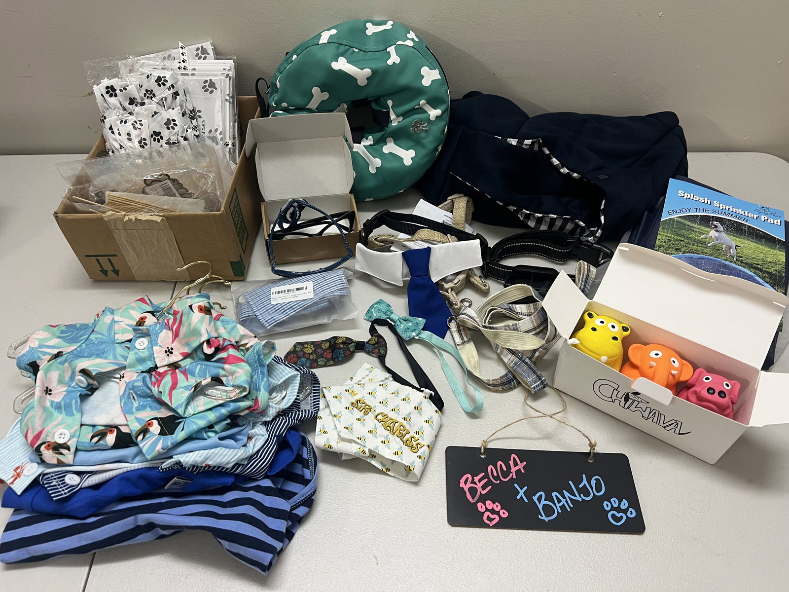XS Boy Dog Accessories Etc - 10