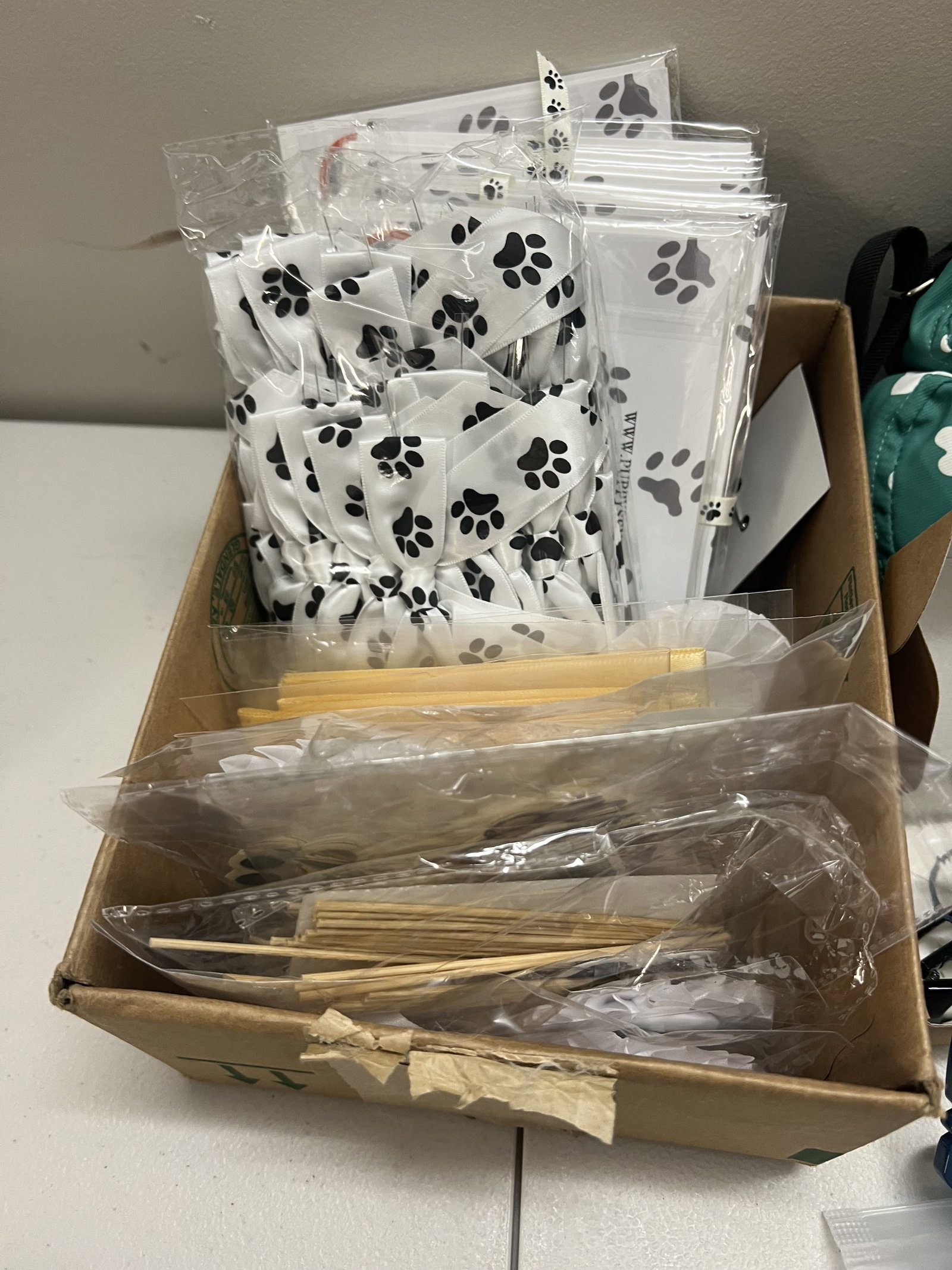 XS Boy Dog Accessories Etc - 11