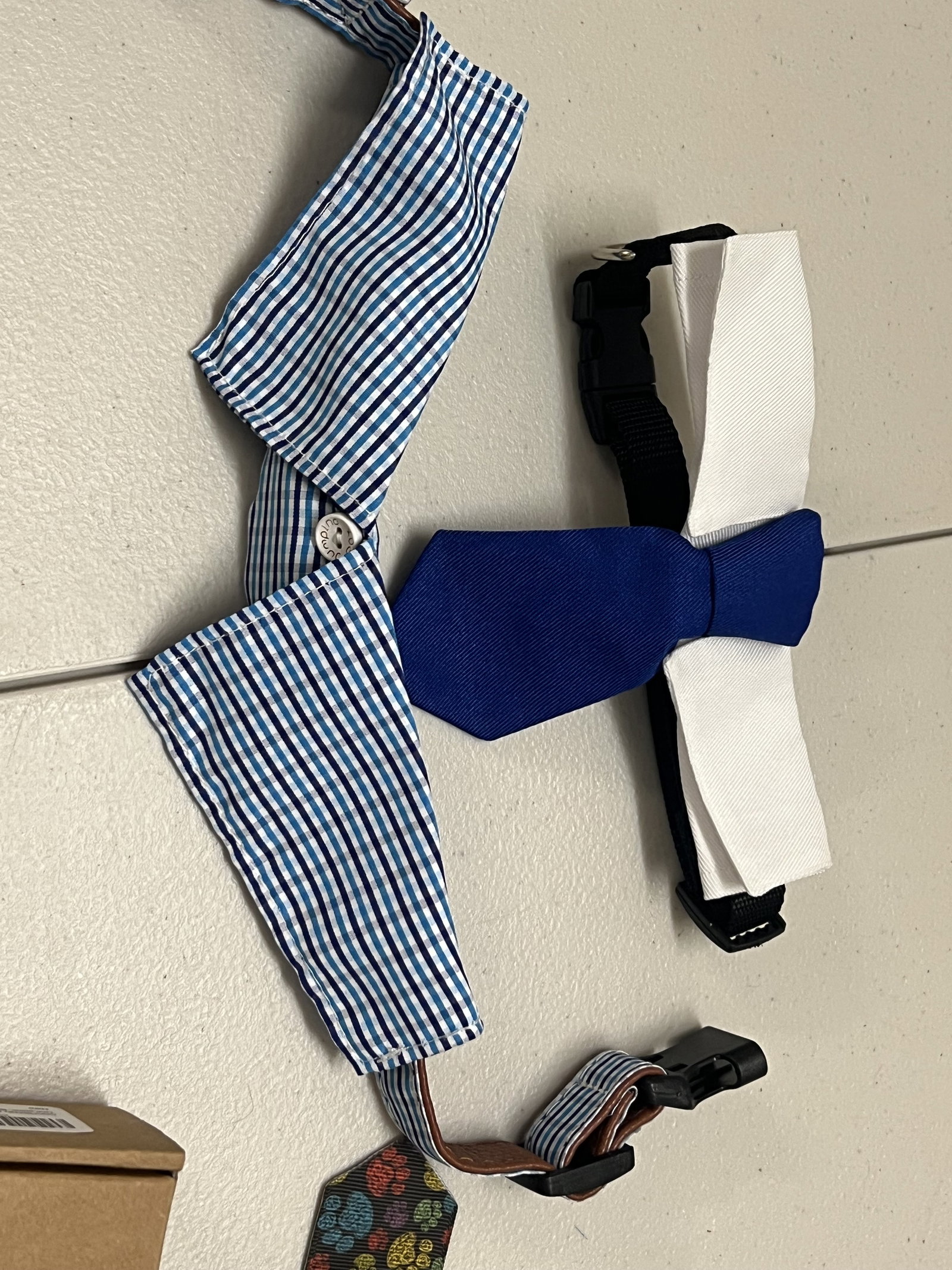 XS Boy Dog Accessories Etc - 15