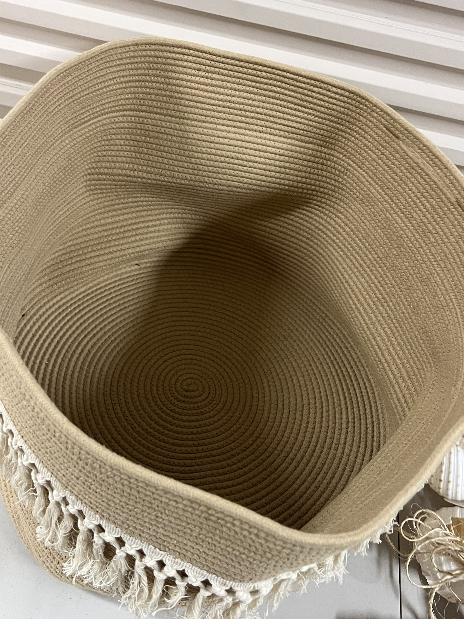 Coastal DÃ©cor Including Shells - 6