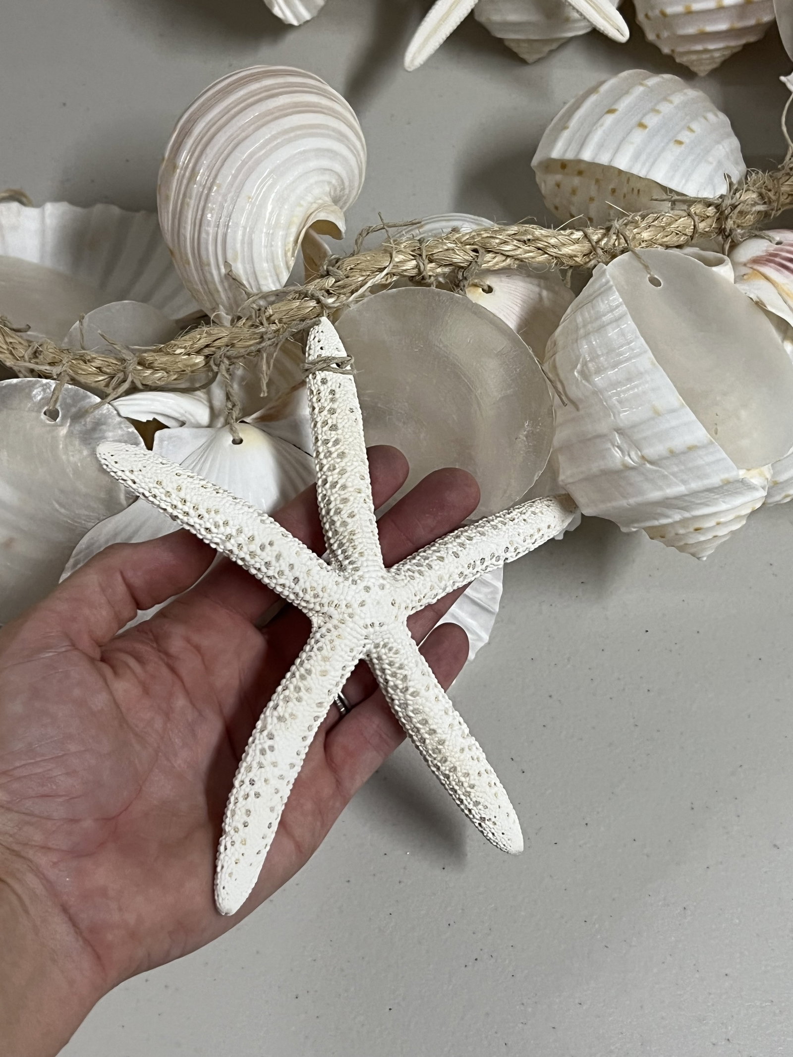 Coastal DÃ©cor Including Shells - 8