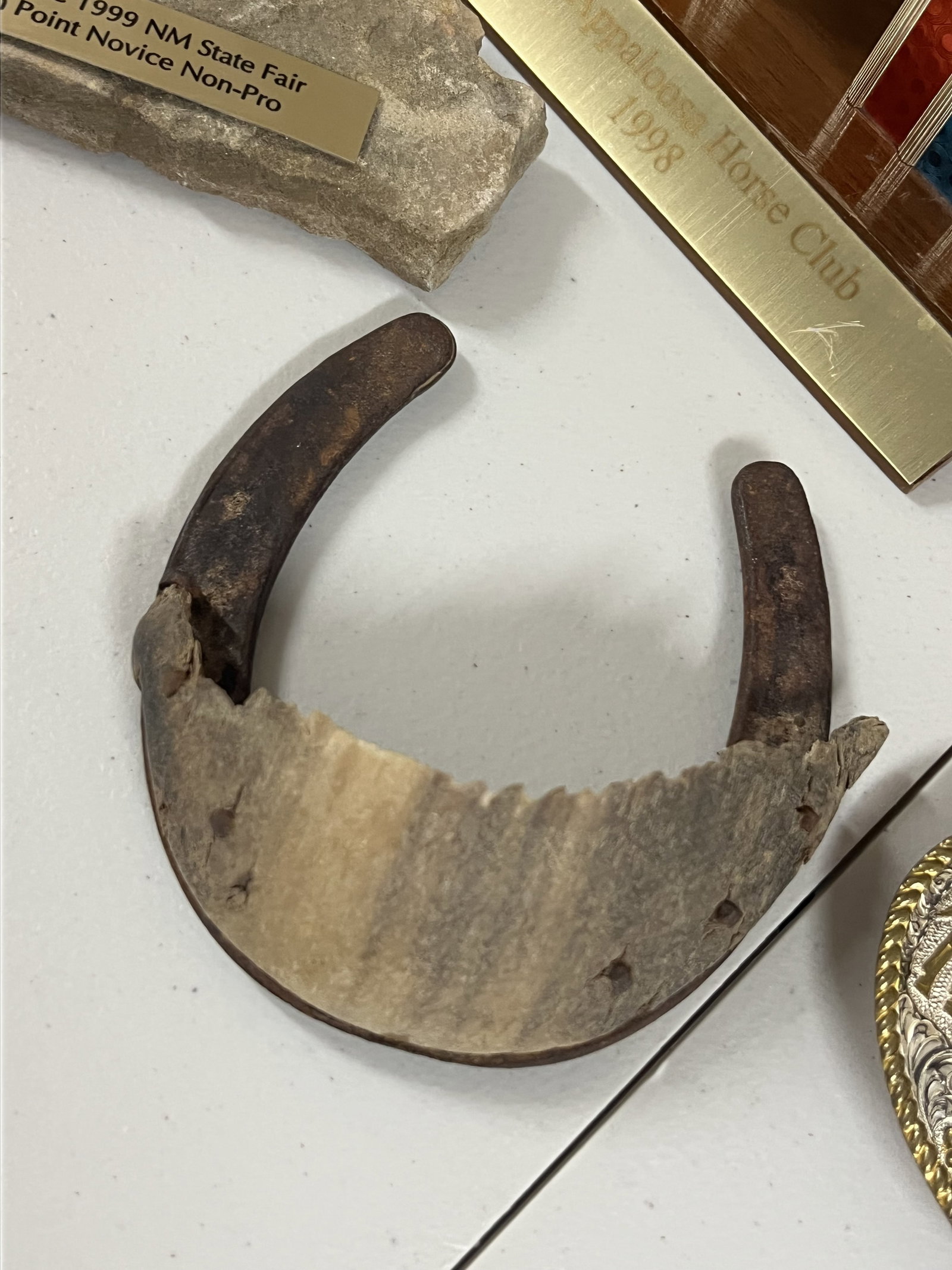 Horse Trophy and Collectibles - 5