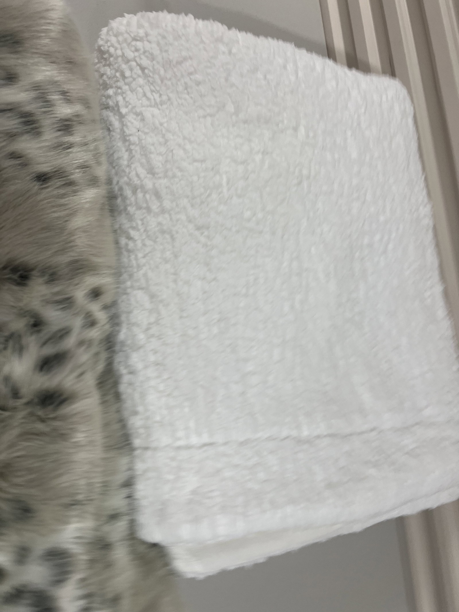(2) Blankets Including Fur - 6