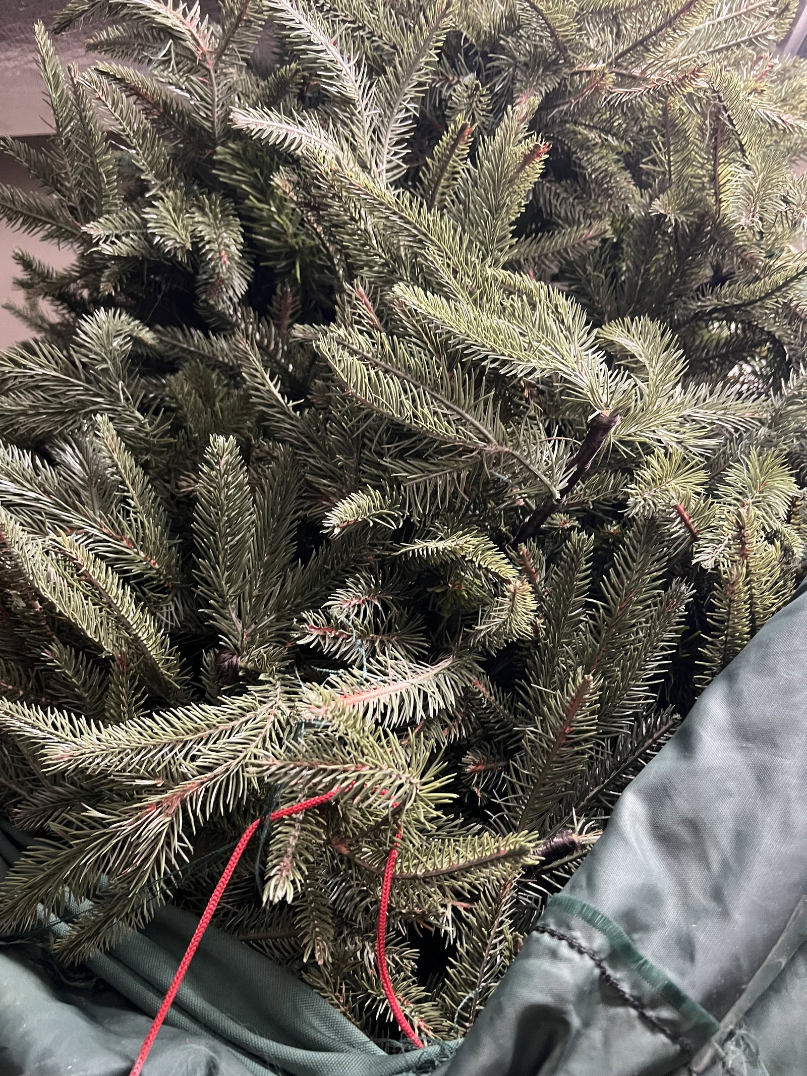 Frontgate Artificial Chritmas Tree 9' - 3