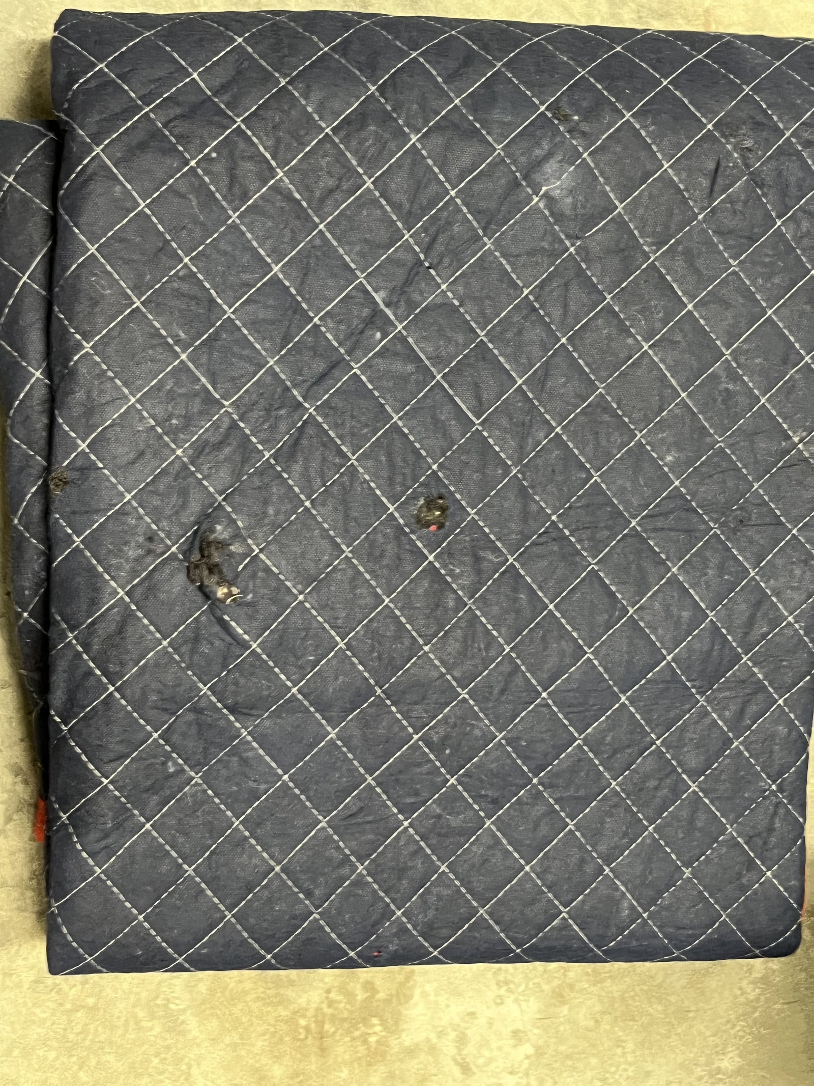 (8) Moving Pads - 2