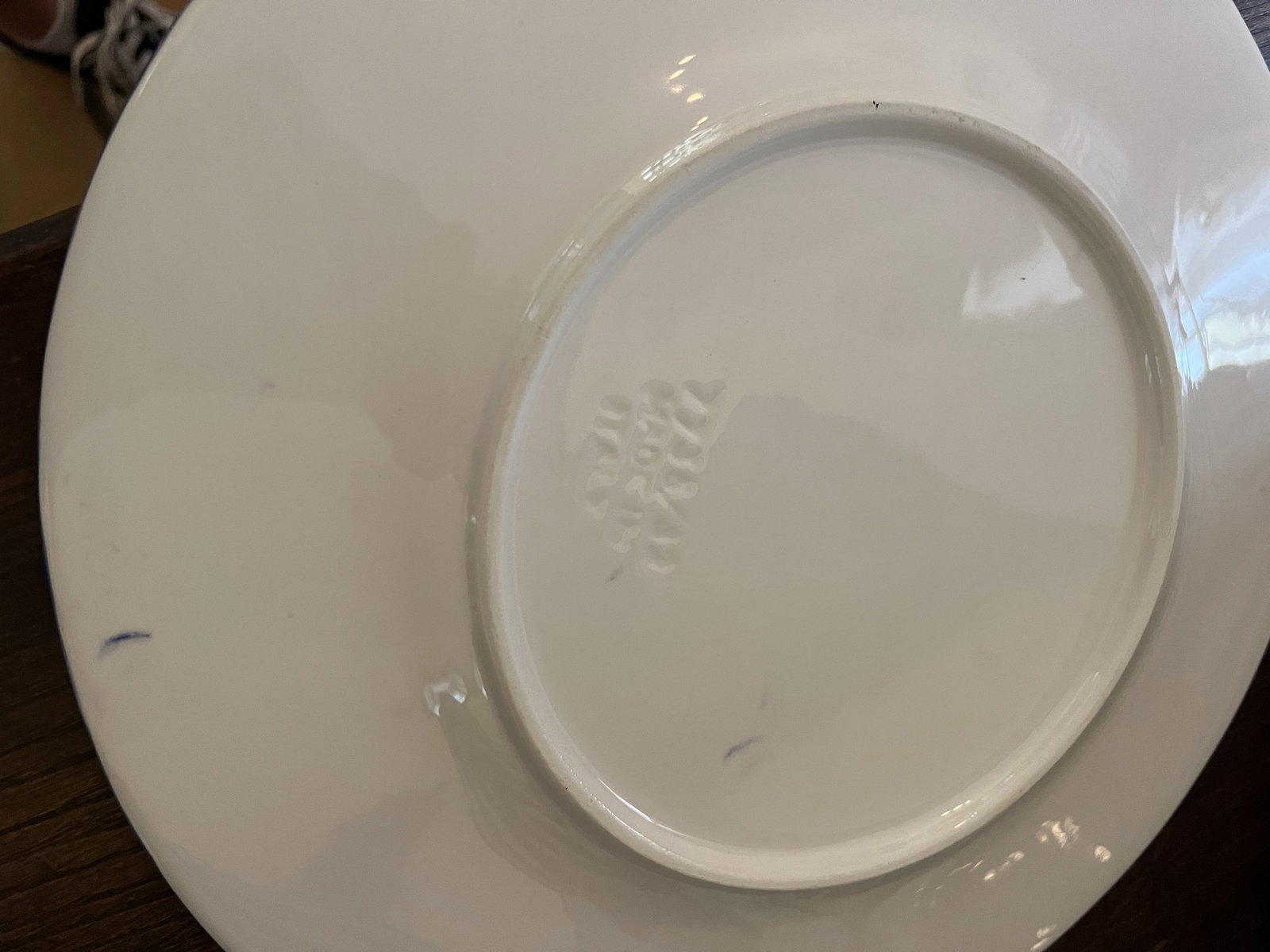 (20) Made in Italy Starfish Coastal Plates - 5
