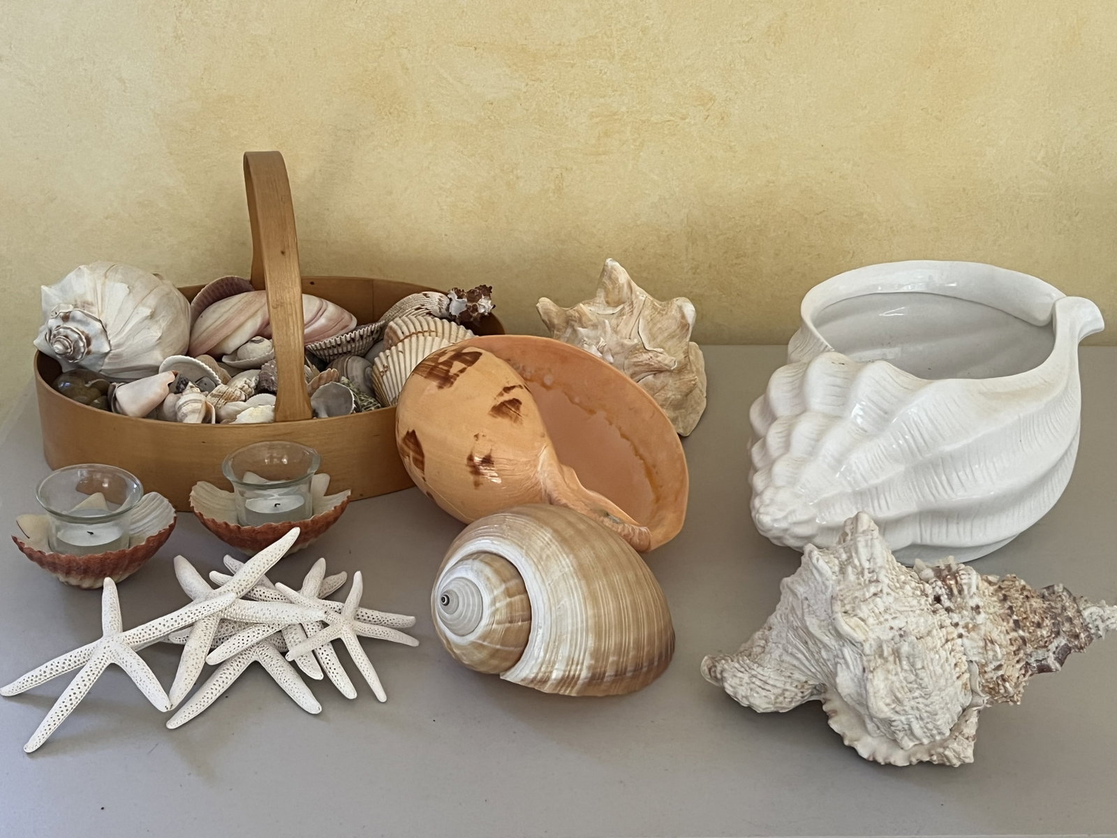 Grouping of Seashells (1 of 10)