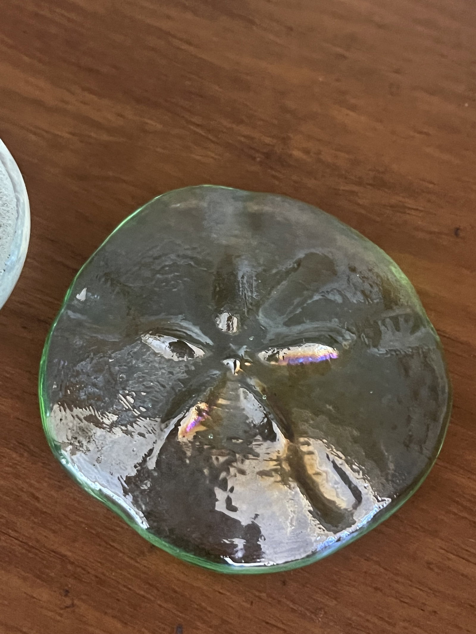 (2) Art Glass Sand Dollars - 3