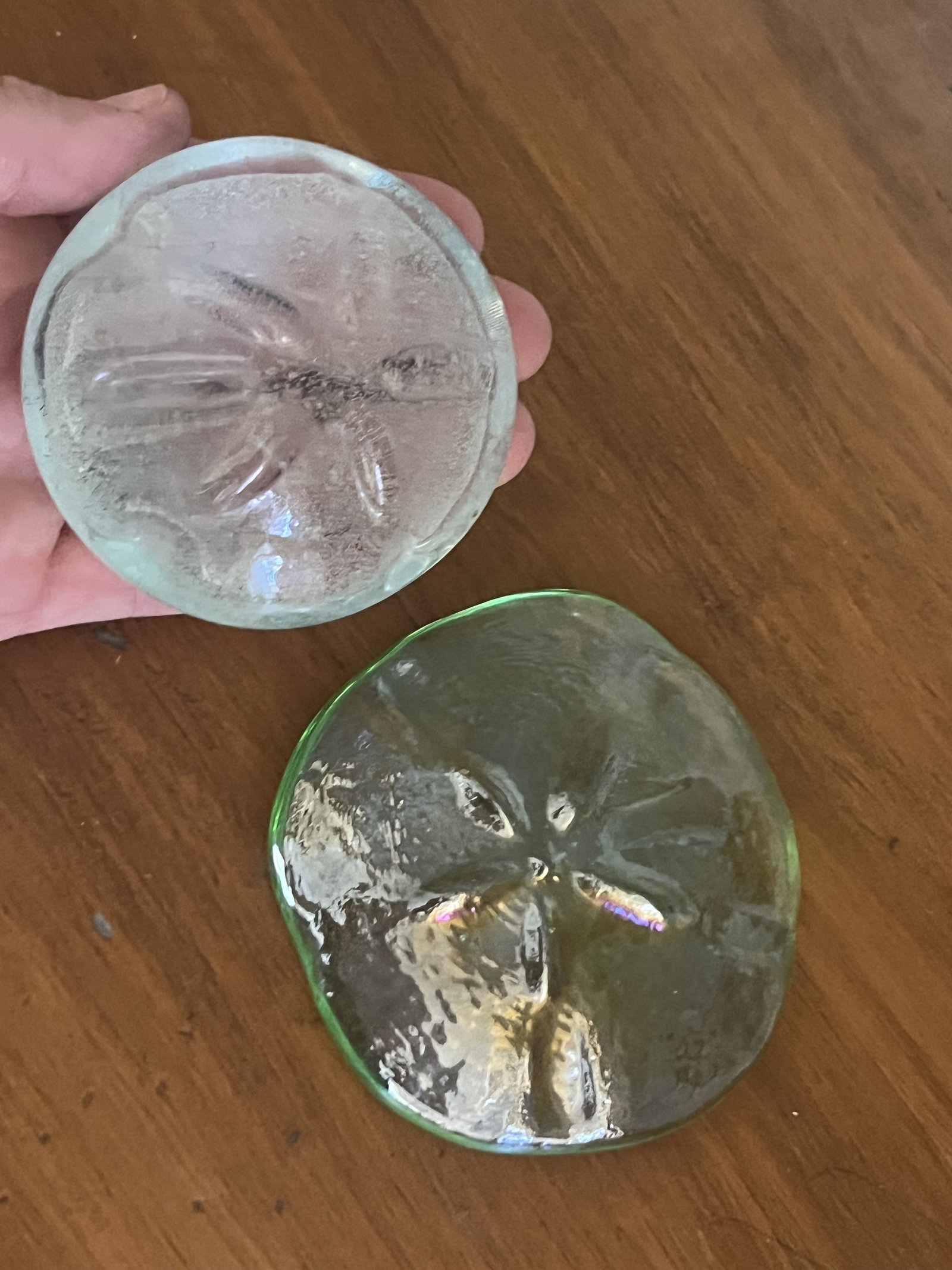 (2) Art Glass Sand Dollars - 4