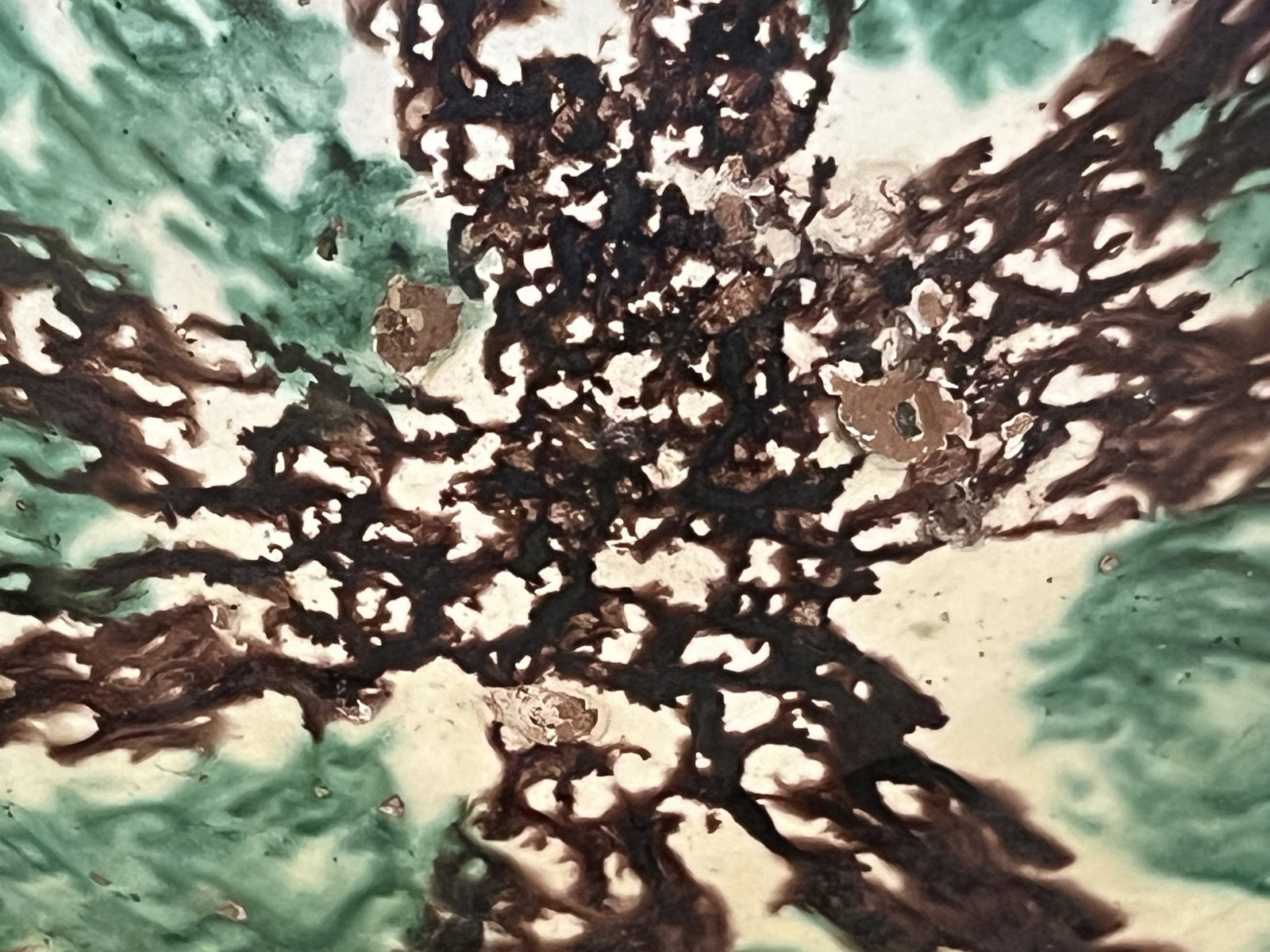 Antique Earthenware Glazed Bowl - 3