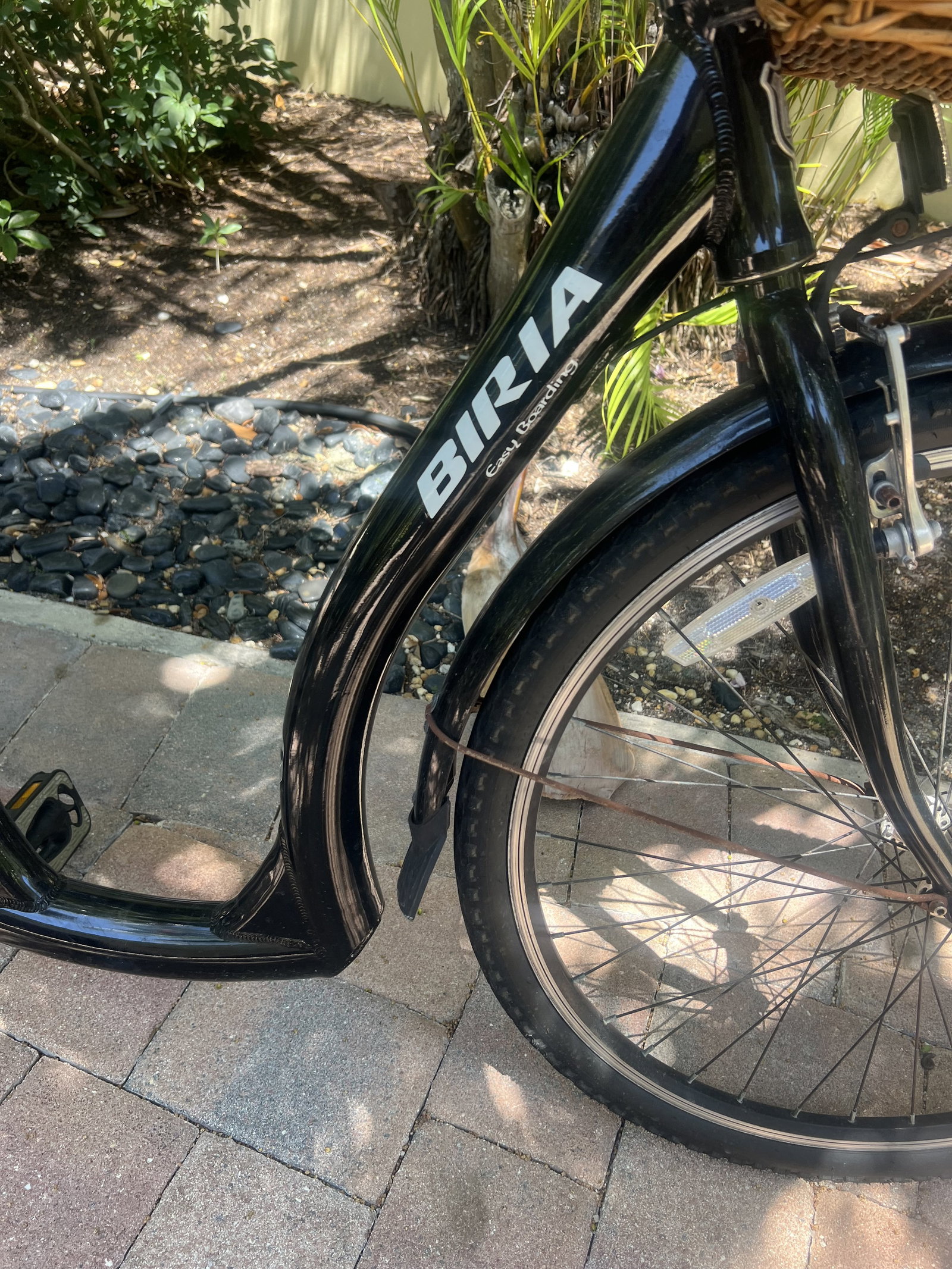 Biria Easy Boarding Bicycle Green - 2