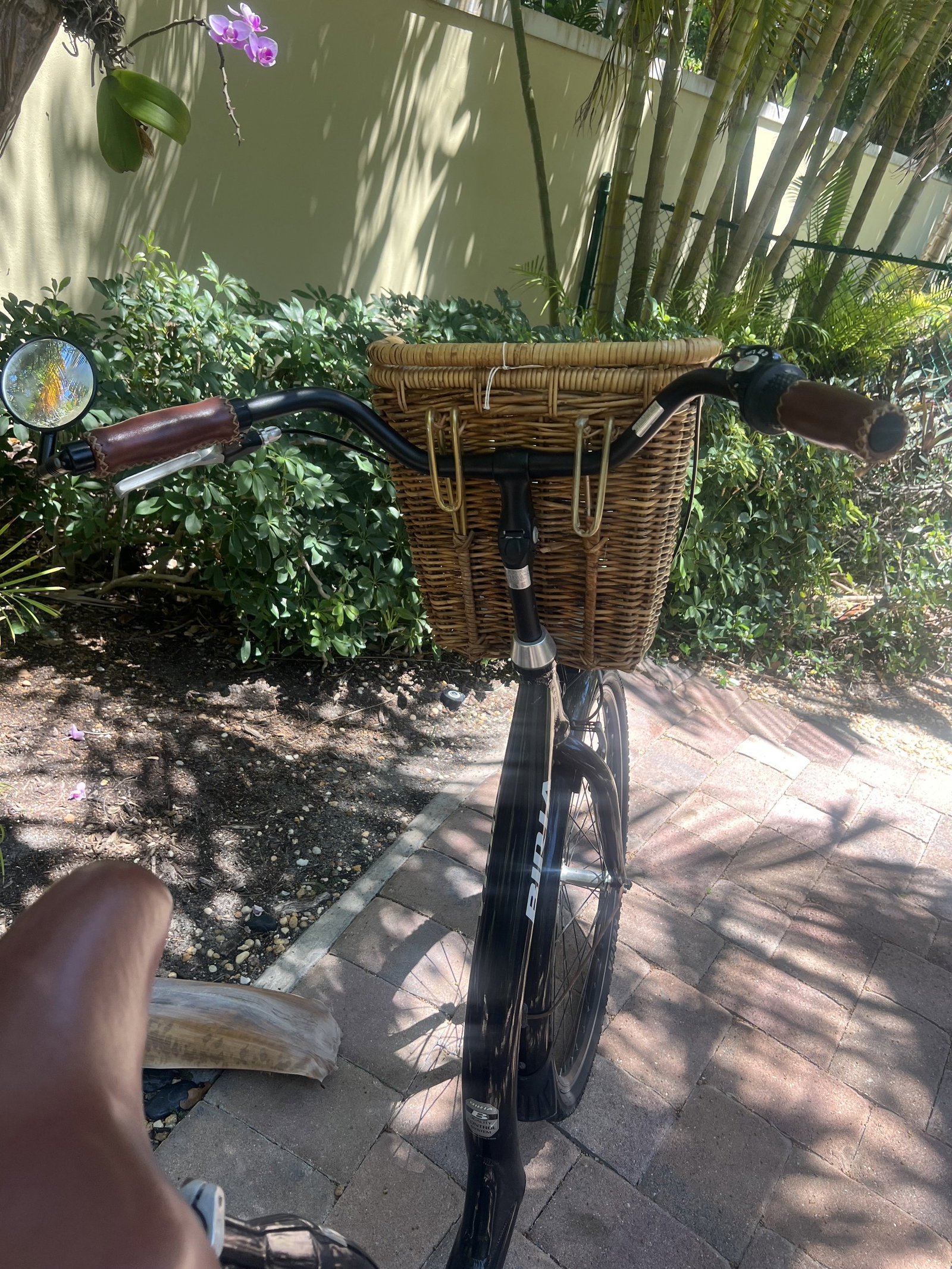 Biria Easy Boarding Bicycle Green - 6
