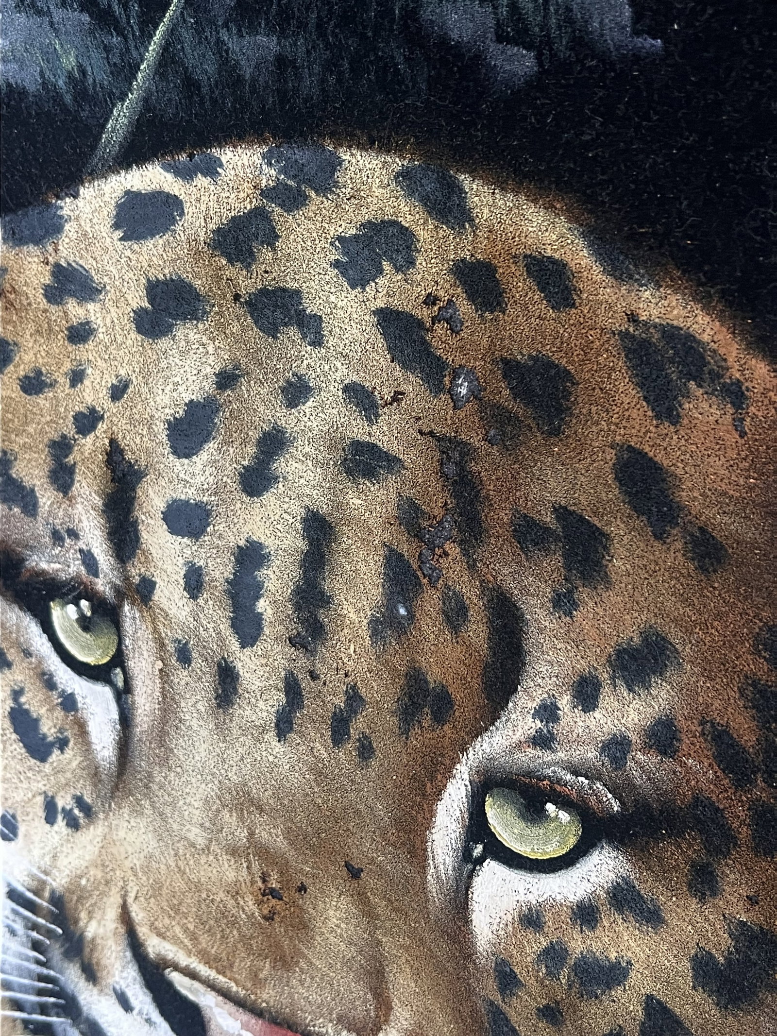 70's Velvet Painting of a Jaguar - 3