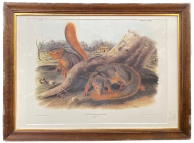 JOHN J. AUDUBON (1785-1851) LITHOGRAPH, SOUTHART-PARKWAY LIMITED EDITION, 26IN x 35IN (66cm x 90cm)