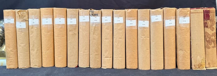 THE WORKS OF HONORE BALZAC, EDITION DE LUXE, 17 VOLUMES, 1901