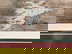 item-209343254=4