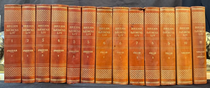 BREHM DJURENS LIV, 13 VOLUMES, 1920