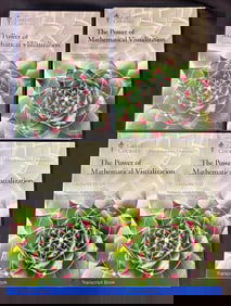 THE GREAT COURSES SERIES, THE POWER OF MATHEMATICAL VISUALIZATION