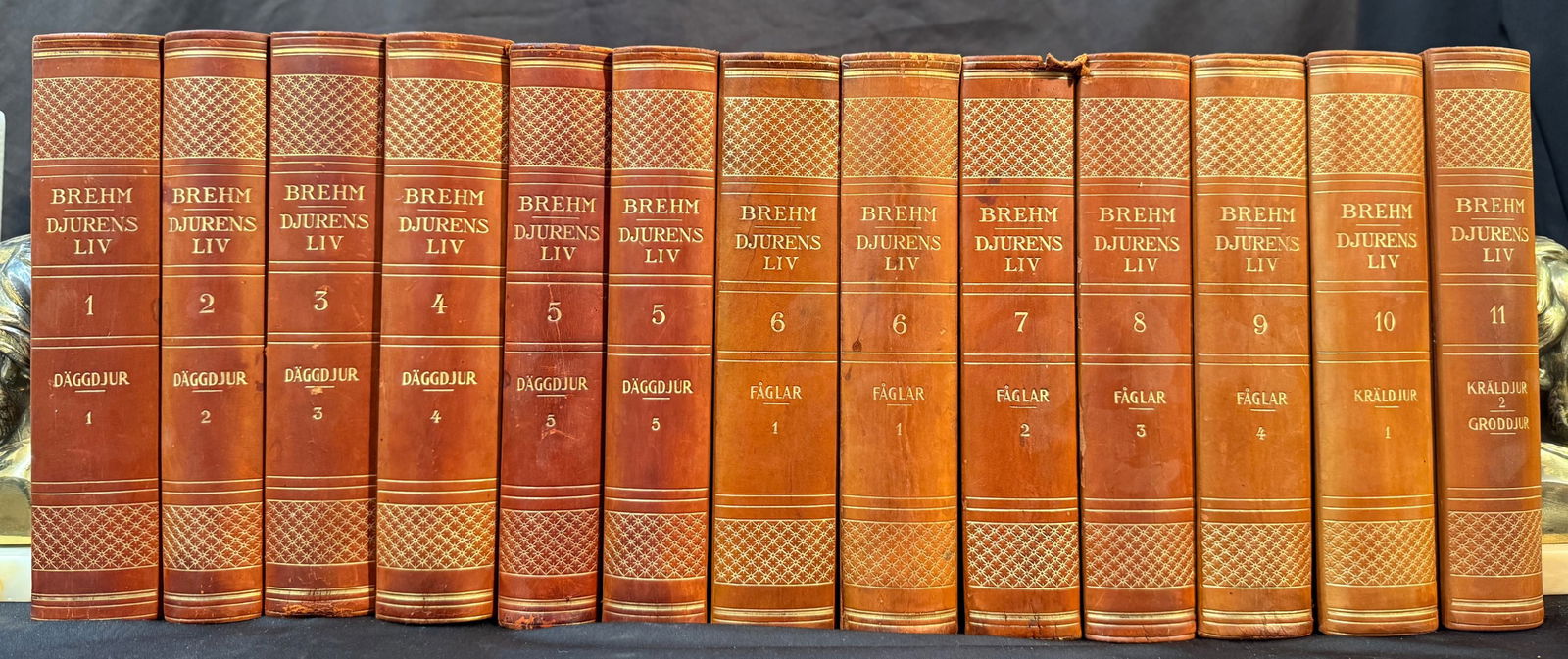 BREHM DJURENS LIV, 13 VOLUMES, 1920 (1 of 4)