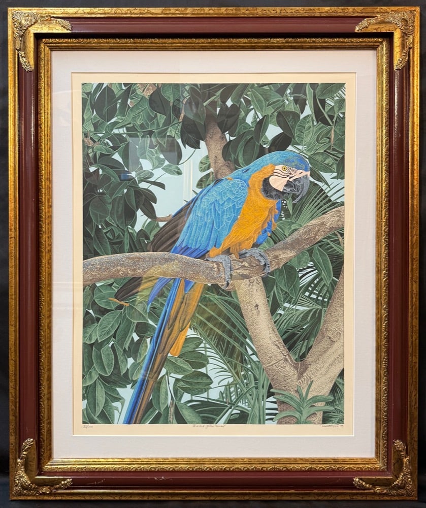 DALLAS JOHN (1942) BLUE AND YELLOW MACAW, HAND SIGNED, LIMITED-EDITION LITHOGRAPH, 1979, 30IN x 36IN: A striking, hand signed limited-edition wildlife lithograph depicting a brilliantly colored blue-and-yellow macaw perched on a tree branch amid lush tropical foliage. Executed with exceptional detail 