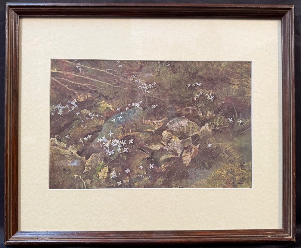 ANDREW WYETH (1948) ORIGINAL LITHOGRAPH TITLED QUAKER LADIES, 16IN x 19IN (41cm x 48cm): Andrew Wyeth (1948) original lithograph which is titled Quaker Ladies, which is after the original that was painted in 1956. This piece was produced in 1962 by Art in America as part of a 12-lithograp