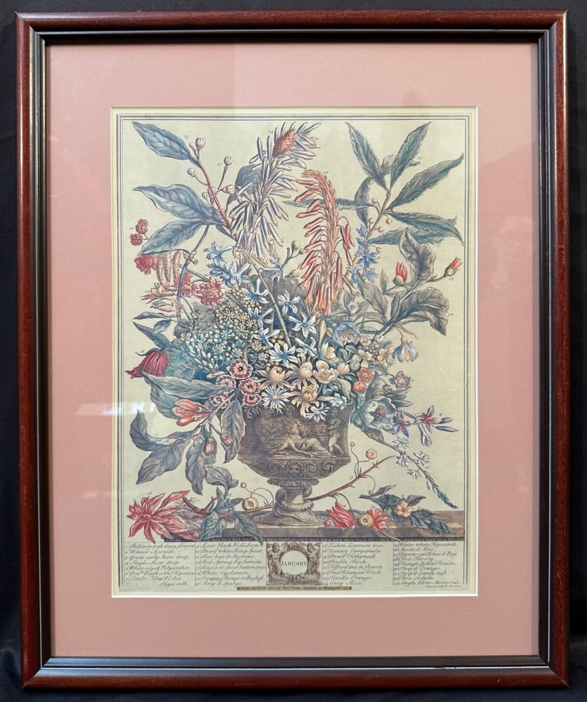 AFTER ROBERT FURBER (1674-1756) PRINT TITLED JANUARY, 17.5IN x 21.5IN (44cm x 54cm): After Robert Furber (1674-1756) print titled January, which after the original that was produced in 1730 and is part of his series Twelve Months of Flowers. It is matted and framed under acrylic in a 