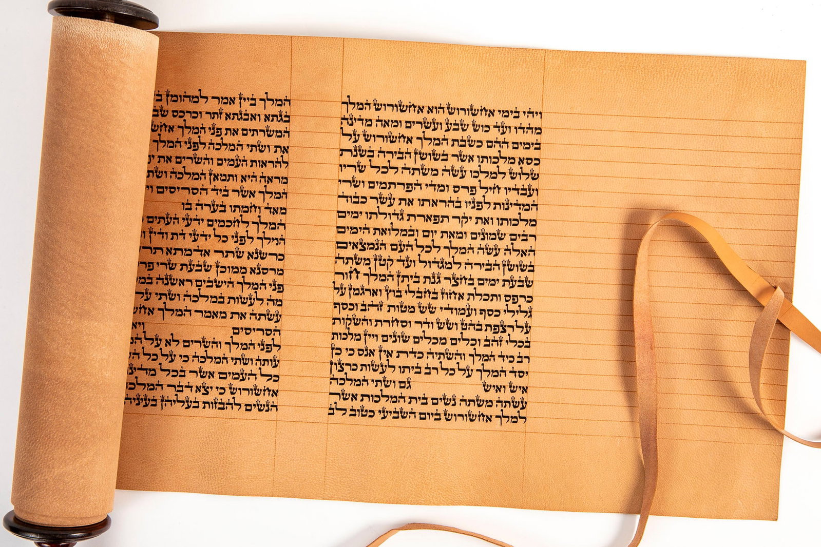A kosher scroll of Esther (Megillat Esther), on gevil parchment, Sephardic script, Manuscript, Total (1 of 5)