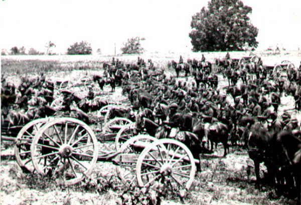 Brady's Gallery No. 439 Battery of Horse Artiller: Robertson's Horse Artillery. Rare gallery card with albumen photograph, 6 x 4 1/2" sepia toned, by Alexander Gardner, labeled on verso "Brady's Album Gallery No. 439 Maj. Robertson's Battery of Horse