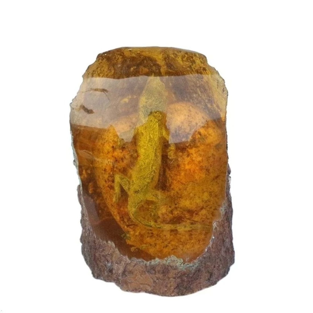 Collectible Amber Beeswax Reptilia Lizard Fossil (1 of 4)