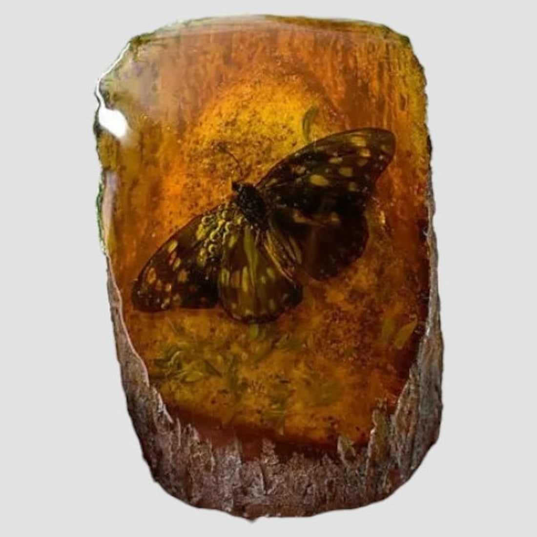 Vintage-Style Amber Fossil Preserved Butterfly: Size: Height 10.3 cm - Width 8.3 cm - Thickness 7 cm. Materials: Amber. Condition: Looks like vintage. Stunning vintage-style amber fossil featuring a perfectly preserved butterfly with intricate deta