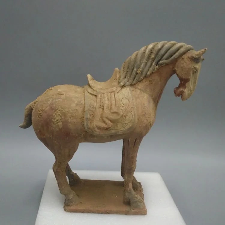 Old Chinese Dynasty Horse Pottery Ceramic Statue (1 of 1)