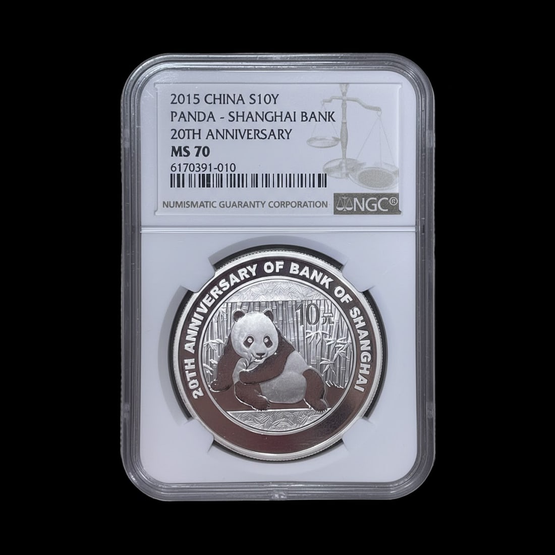 Rare Silver Panda Bamboo Temple Motif Medal Coin (1 of 2)