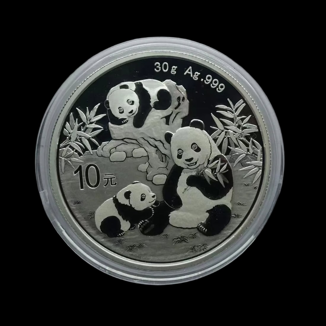 Vintage China Silver Panda Coin Ten Yuan Currency (1 of 2)