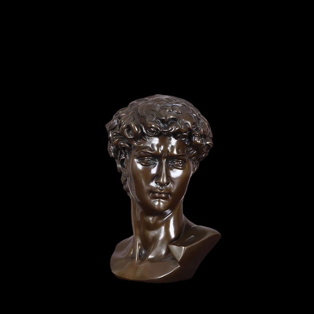 Antique Style Michelangelo David Bust Sculpture (1 of 5)