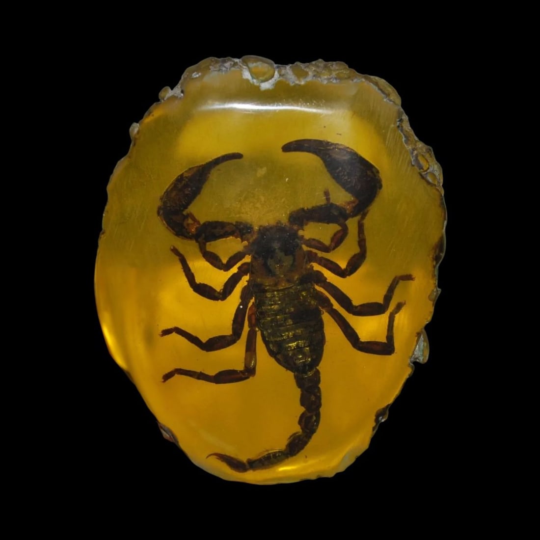 Ancient-Inspired Scorpion Yellow Amber Flat Statue (1 of 4)