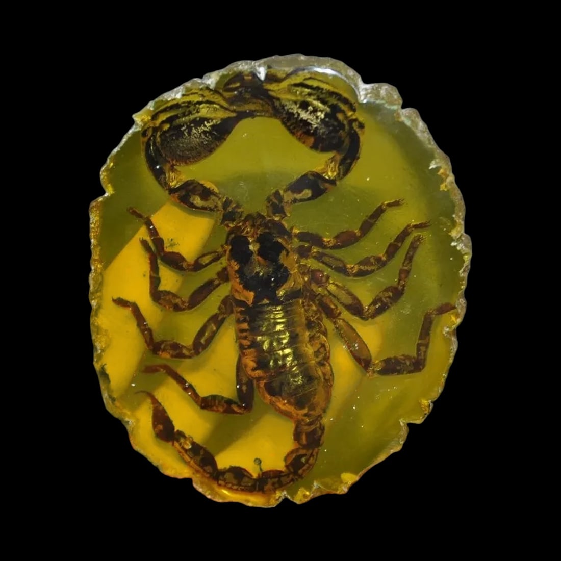 Old-Style Fossil Arthropods Scorpion Amber Statue: Size: Height 10 cm - Length 8.5 cm - Thickness 1 cm. Weight 300 g. Materials: Resin amber. Condition: Looks like vintage. This old-style scorpion statue is an exceptional piece that showcases the