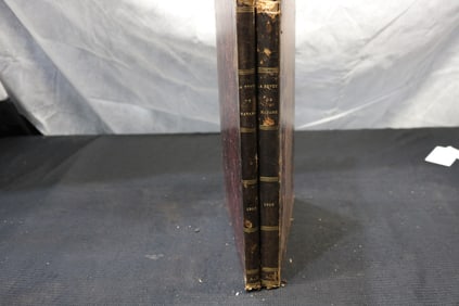 1918-1919 LA REVUE DE MADAME - 2 VOLUMES
