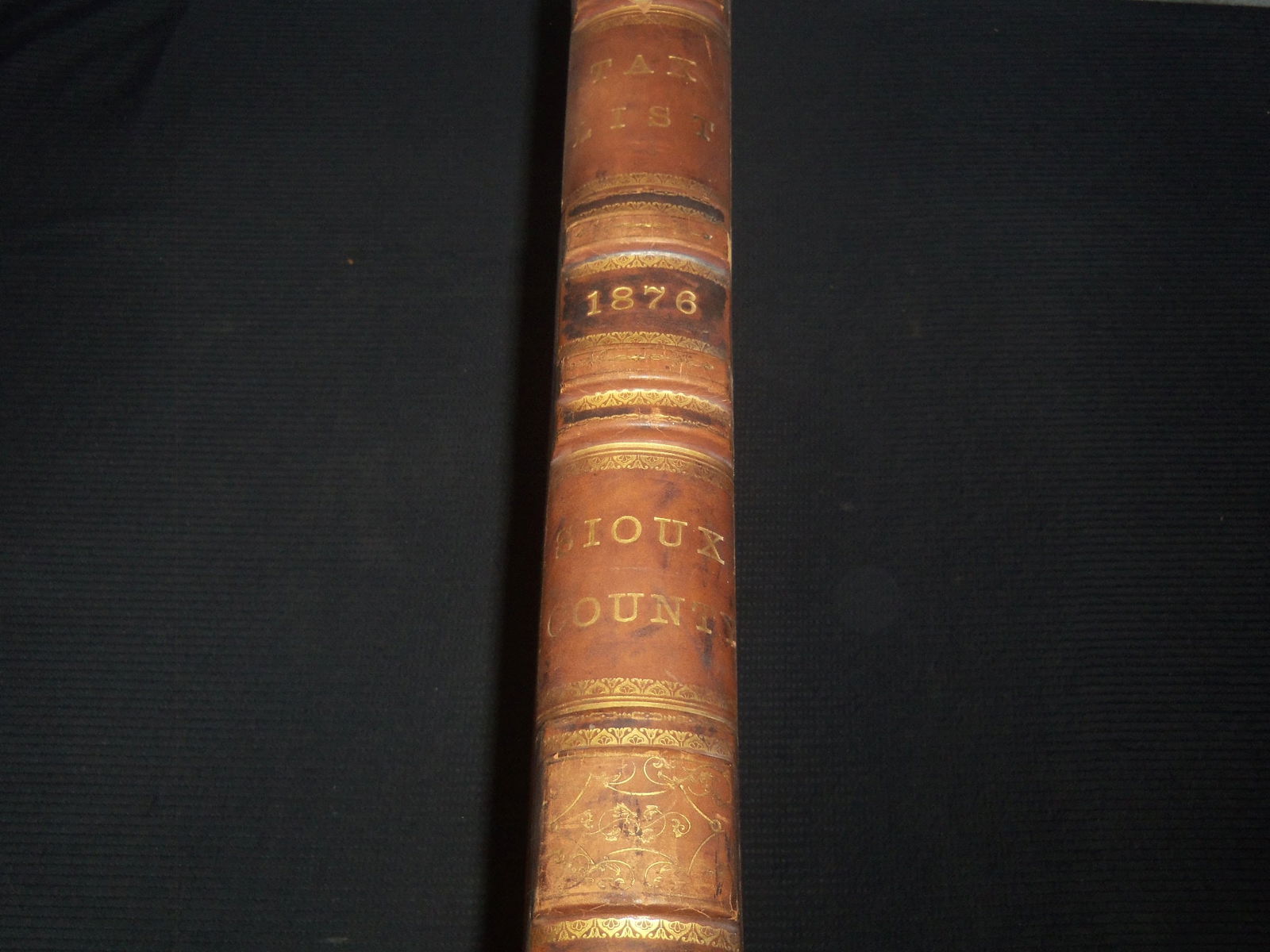 1876 OLD SIOUX COUNTY TAX LEDGER BOOK - IOWA (1 of 9)