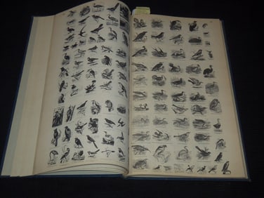 1950 & 1951 PICTURE ENCYCLOPEDIA OF ILLUSTRATIONS - 2 VOLUMES