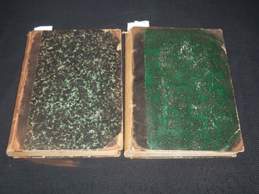1895-1896 THE SCHOOL JOURNAL MAGAZINE BOUND VOLUMES - 2 VOLUMES