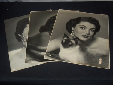MOVIE ACTRESSES PHOTO LOT OF 3 - 15 1/2 "x 19 1/2"