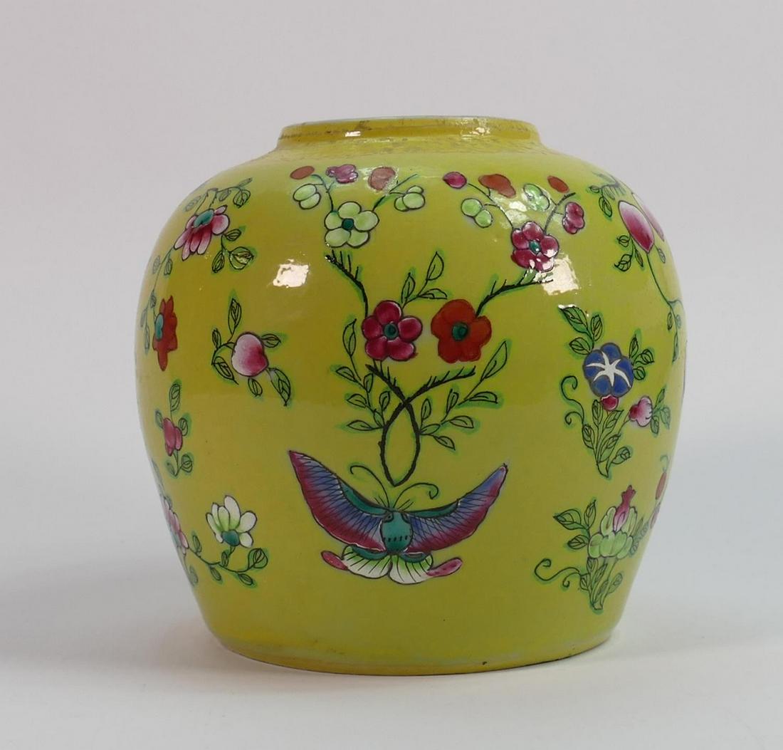 19th century Canton decorated ginger jar: Hairline (1 of 5)