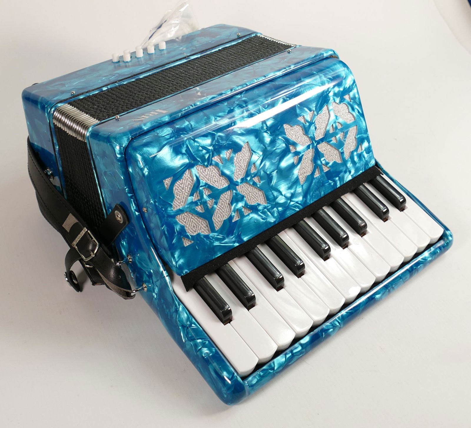 Mini 2024 piano accordion