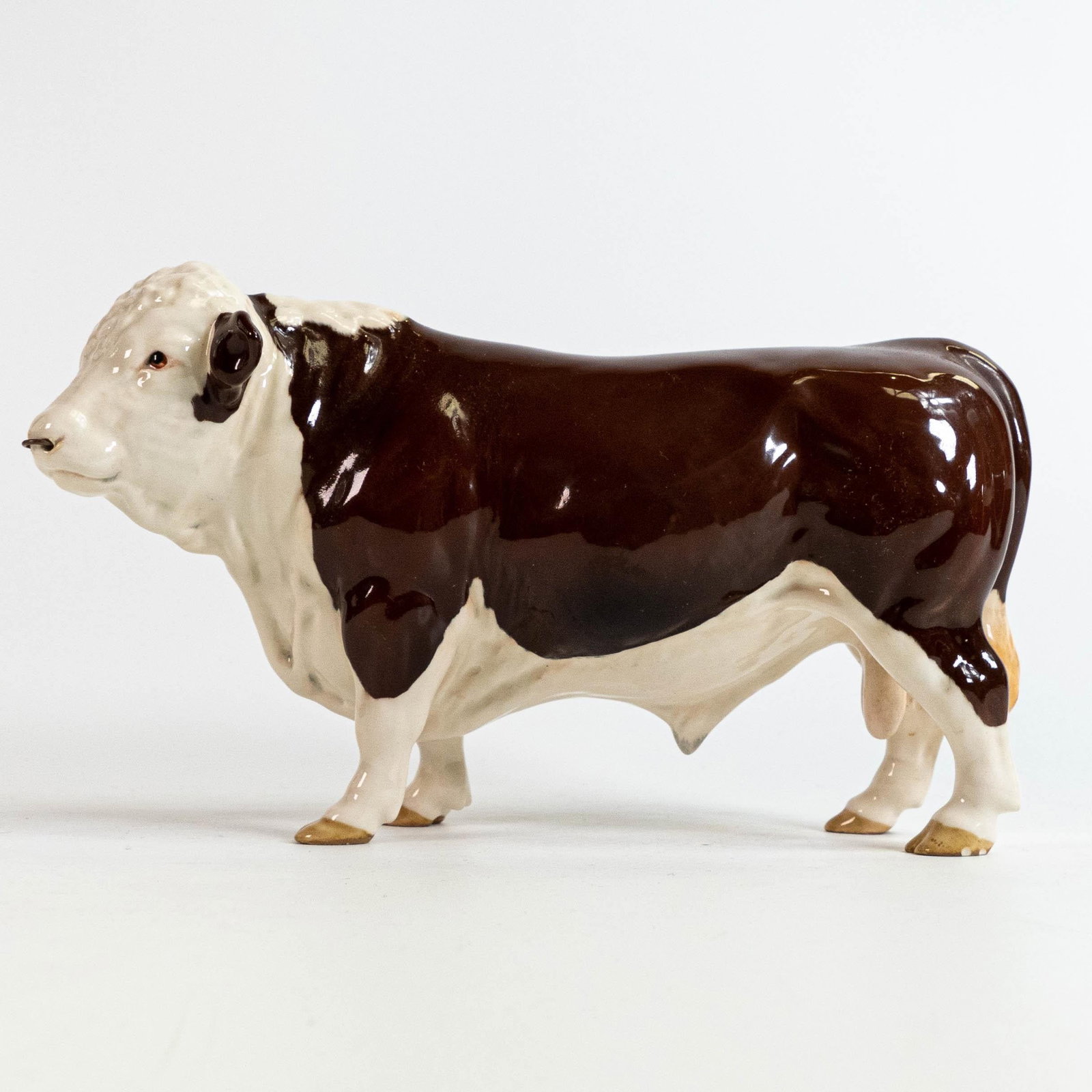 Beswick Polled Hereford bull 2549A: Beswick Polled Hereford bull 2549A