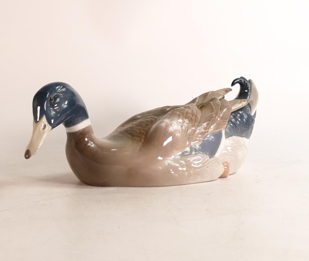 Boxed Lladro Pato de la Albufera 5.288: Boxed Lladro Pato de la Albufera 5.288
